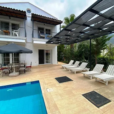 Leton Kleo - Center * Kalkan