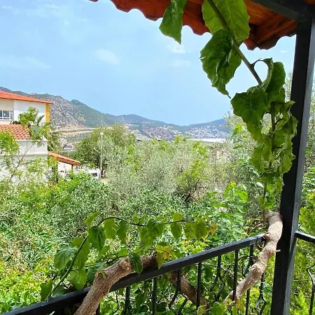 Leton Kleo - Center * Kalkan