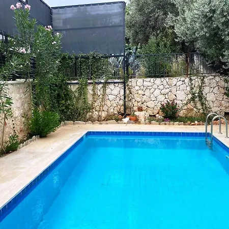 Leton Kleo - Center Vilă