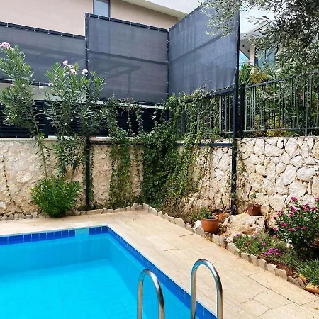 Leton Kleo - Center Vilă *