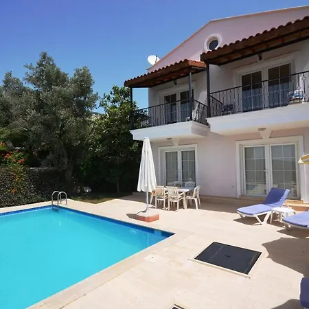 Leton Kleo - Center Vilă *