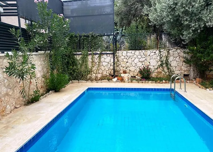 Leton Kleo - Center فيلة