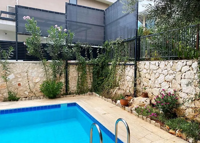 Leton Kleo - Center فيلة *