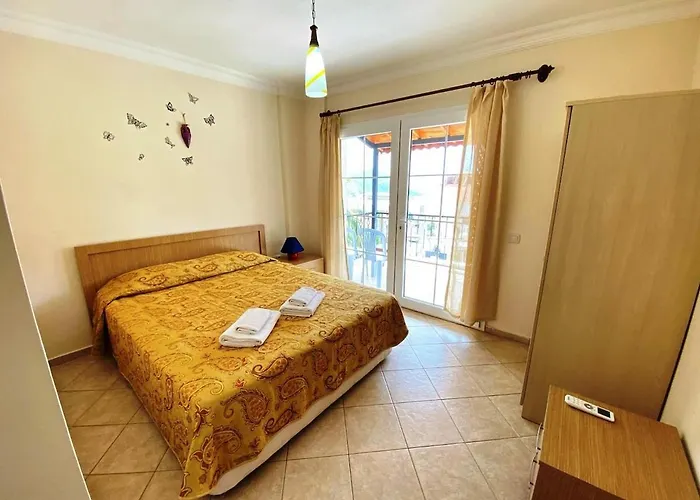 فيلة Leton Kleo - Center *