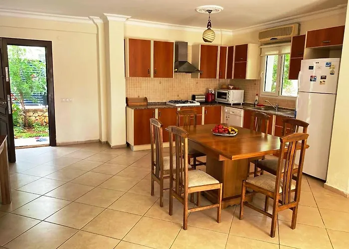 فيلة Leton Kleo - Center كالكان