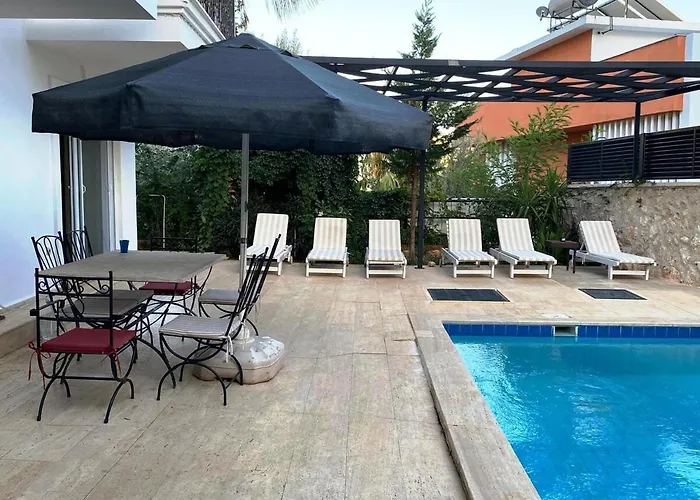 فيلة Leton Kleo - Center *