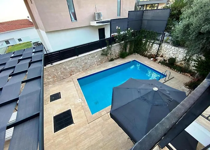 Leton Kleo - Center فيلة كالكان