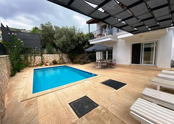 Leton Kleo - Center *