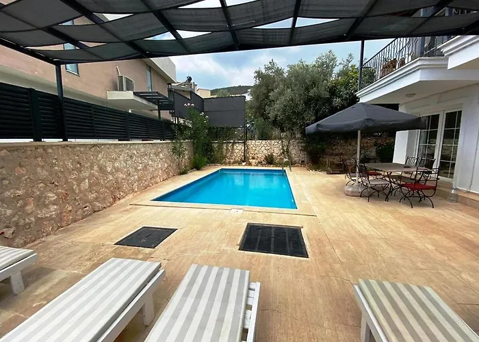 Leton Kleo - Center كالكان