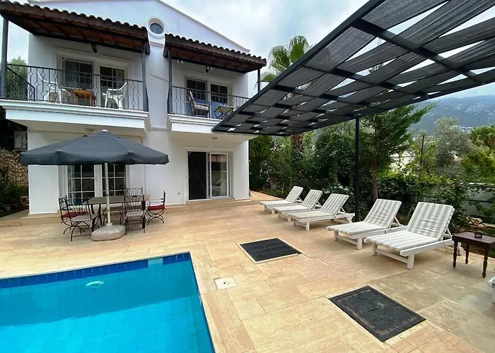 Leton Kleo - Center * كالكان