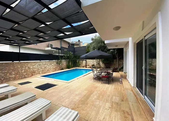 Leton Kleo - Center فيلة