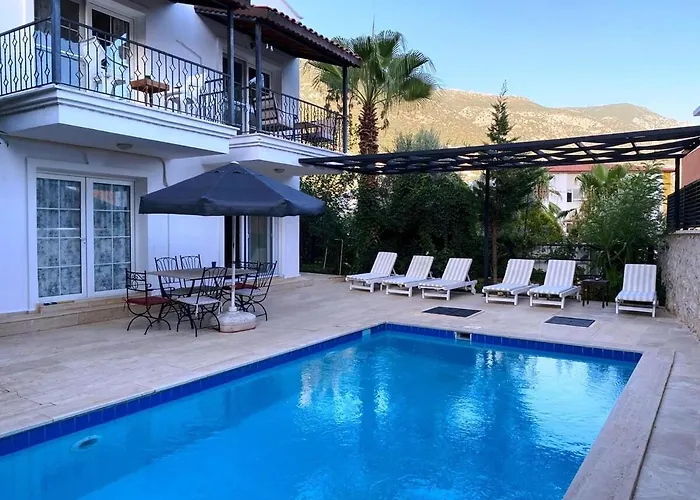 فيلة Leton Kleo - Center