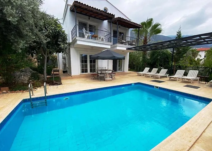 فيلة Leton Kleo - Center *